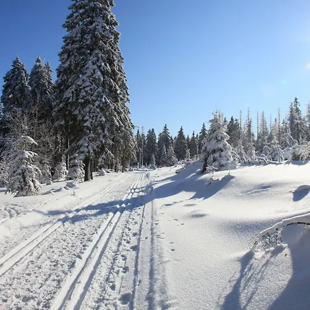 מלון Waldhotel Achtermannstor