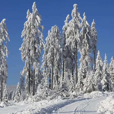 Отель Waldhotel Achtermannstor 3*