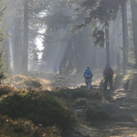 ホテル Waldhotel Achtermannstor 3*