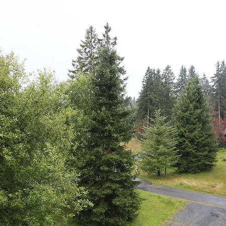 Waldhotel Achtermannstor 3* Браунлаге