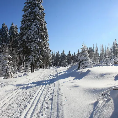 Отель Waldhotel Achtermannstor 3*